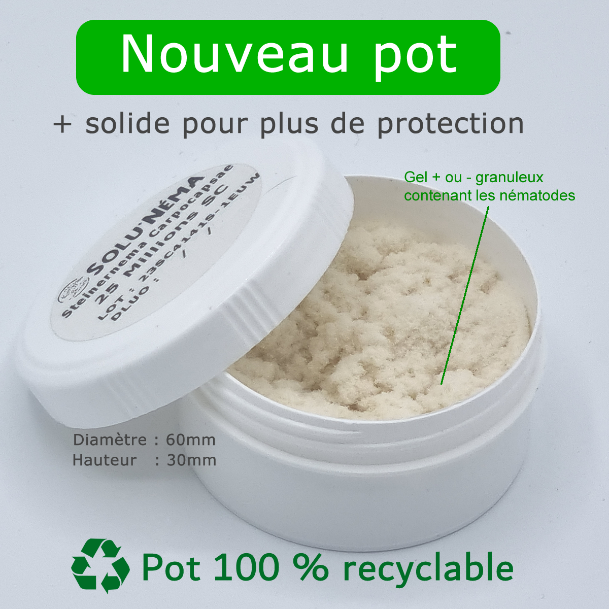 Solunéma - Nématodes contre les Doryphore de la pomme de terre - Steinernema Carpocapsae (SC) - 25 millions - Image 2