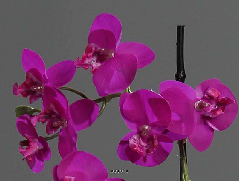 Artificielles - Orchidée phalaenopsis artificielle en pot céramique, H 30 cm Pourpre - couleur: Pourpre - Image 3