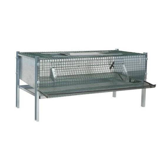 Cage en maille galvanisée pour cailles pondeuses (mini) - Image 1