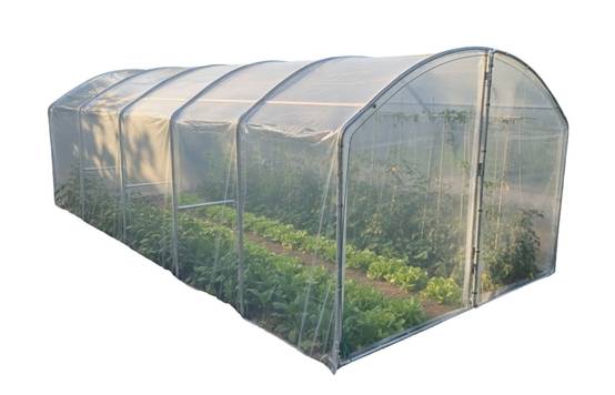 Serre tunnel de jardin - 22,5m² - 3 x 7,5 m - pieds droits - haute résistance à petit prix - LES SERRES TONNEAU - Image 2
