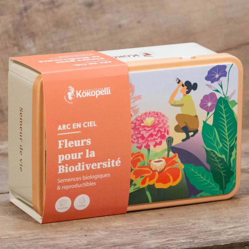 Mélange de graines Arc en ciel bio - Fleurs pour la biodiversité- Graines bio à semer - Image 2