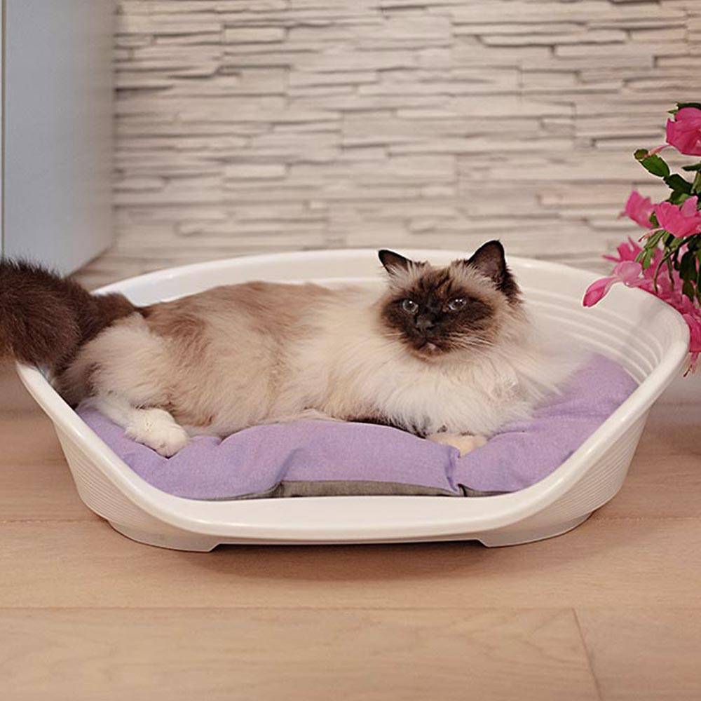 Ferplast - FERPLAST - Panier Chien Panier Chat  - Lit pour Chien en Plastique Small - 100% Plastique Recyclé - Lit pou Chat Lavable - Respirant  Antidérapant - - Image 5