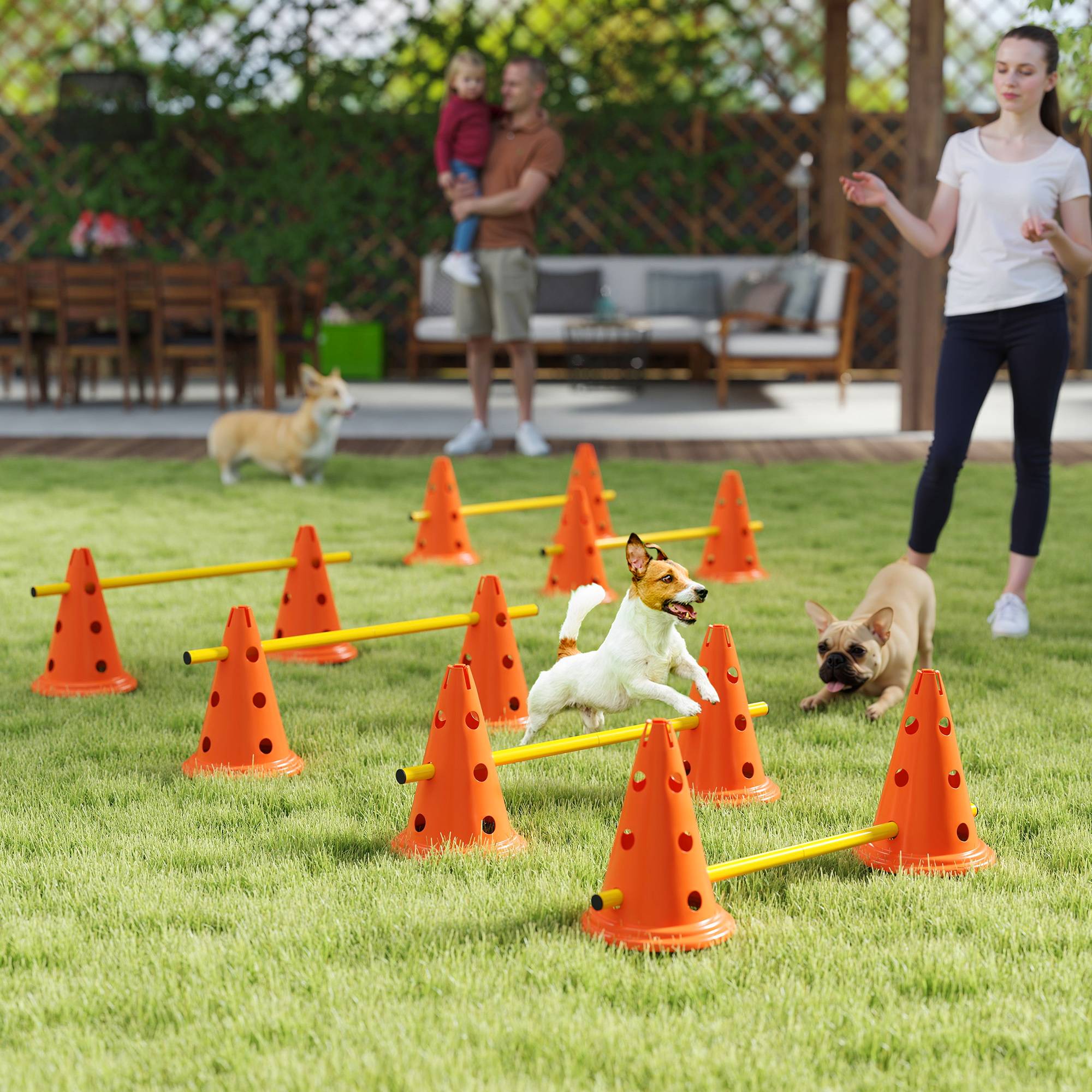 ComfortXL - Kit agilité chien 6 haies en ABS 80 cm hauteur réglable avec 12 cônes et sac - ComfortXL Outdoor Living - Image 4