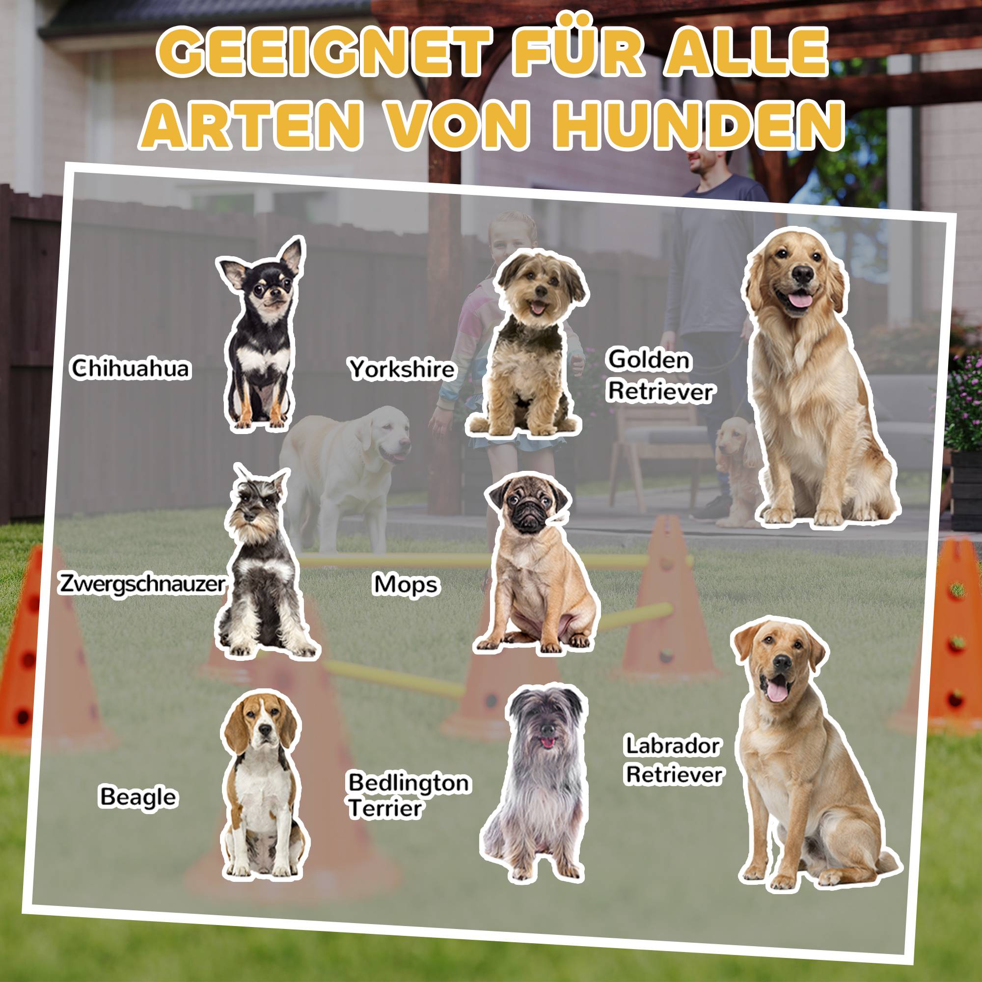 ComfortXL - Kit agilité chien 6 haies en ABS 80 cm hauteur réglable avec 12 cônes et sac - ComfortXL Outdoor Living - Image 10