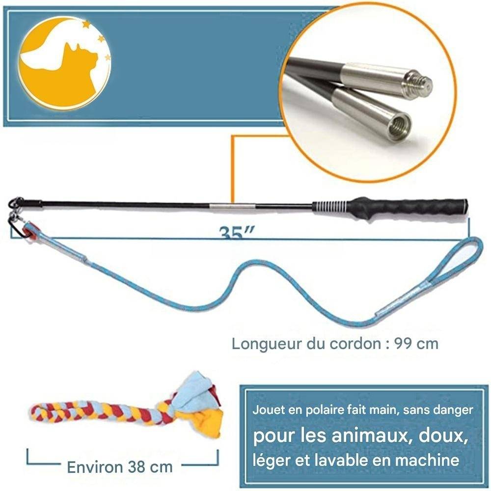 DtopbuyAge - Canne à morsure pour chien DtopbuyAge - Image 2