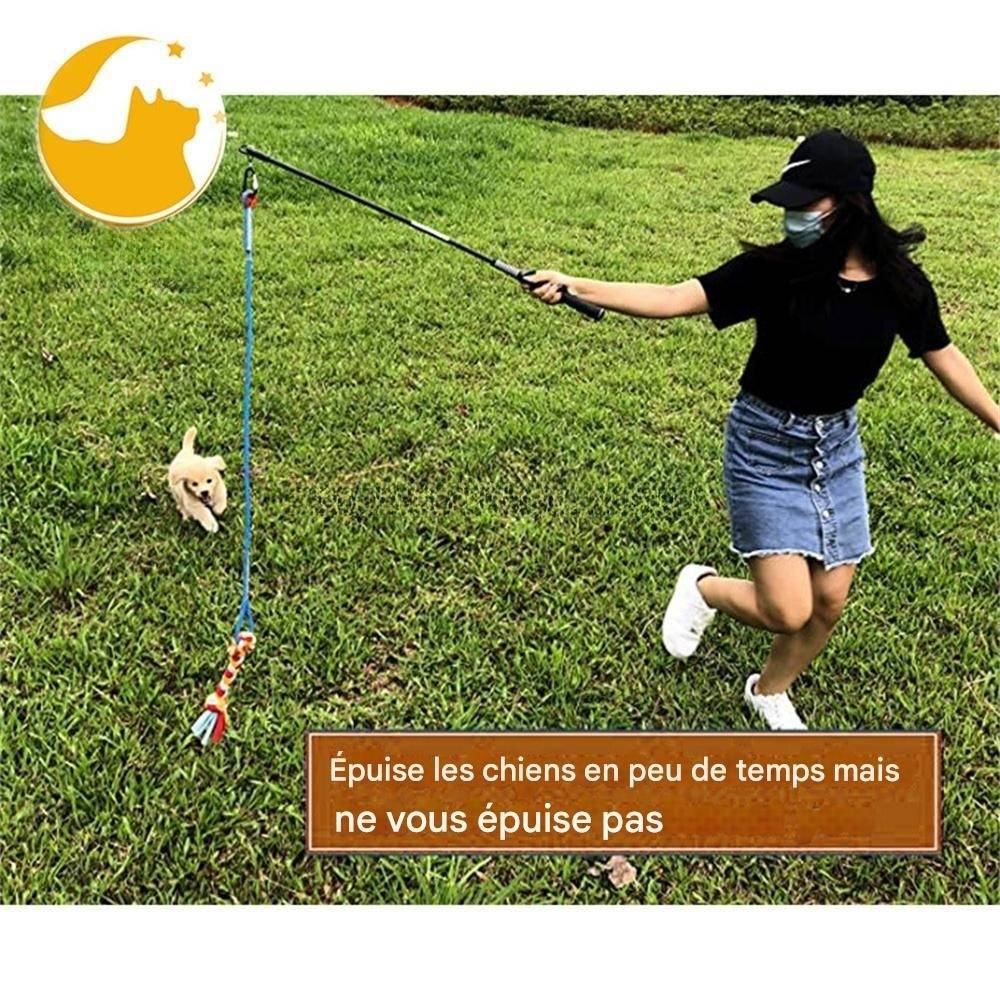 DtopbuyAge - Canne à morsure pour chien DtopbuyAge - Image 6