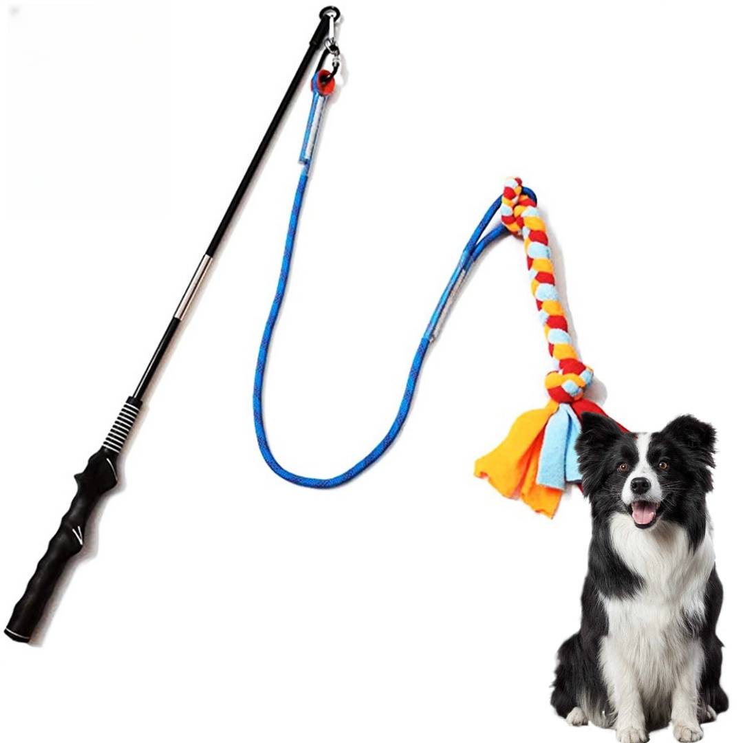 DtopbuyAge - Canne à morsure pour chien DtopbuyAge - Image 1