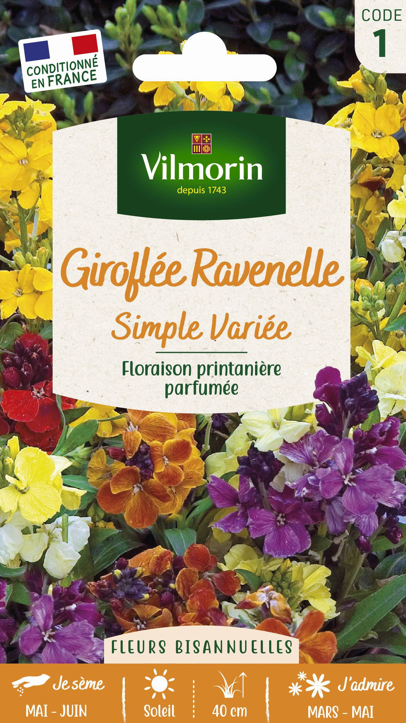 Vilmorin - Graines de Giroflée Ravenelle Simple variée