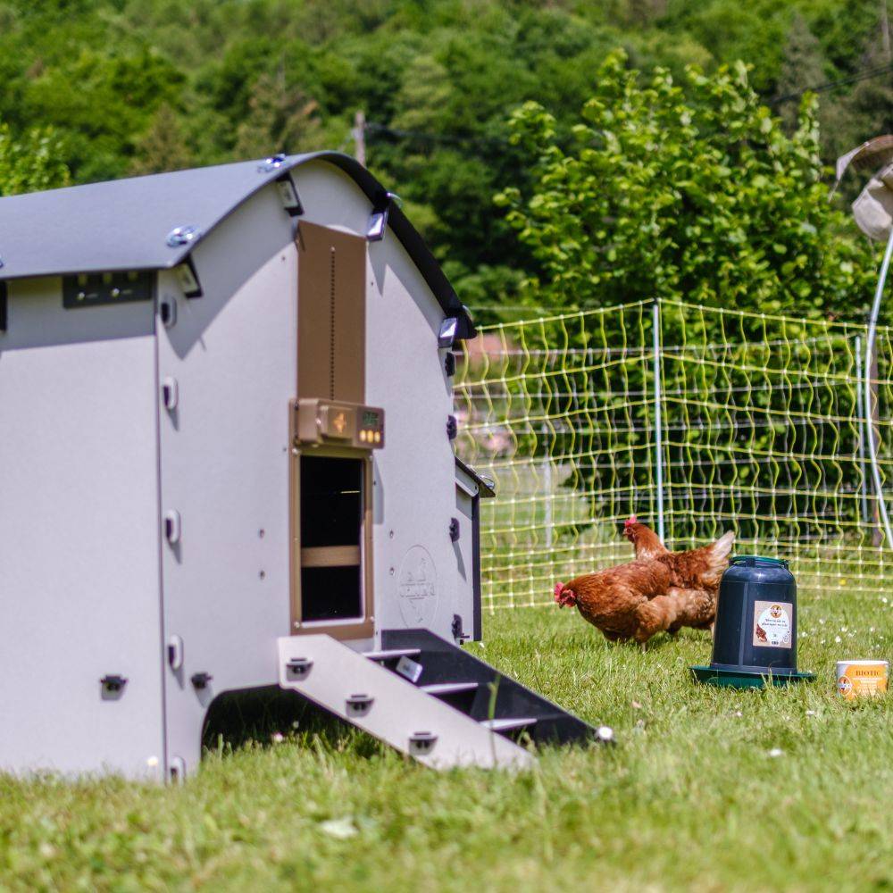 Chick'a - Poulailler 4 poules Harmony en plastique recyclé - Image 6