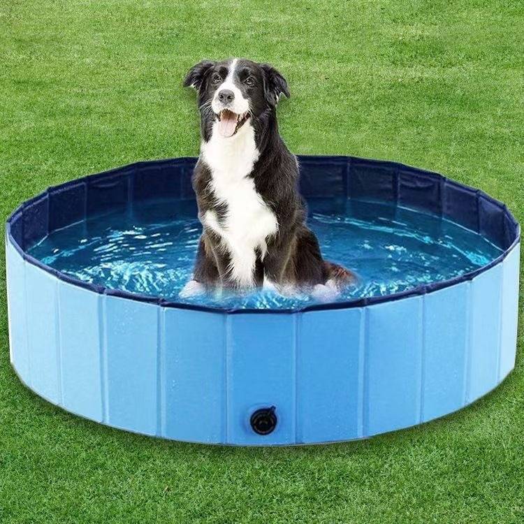 Piscine pour chiens,Baignoire pliable de compagnie, piscine extérieure pliable pour chiens, chats, enfants, antidérapante, bleue, 160 x 30 cm-Lytech - Image 4