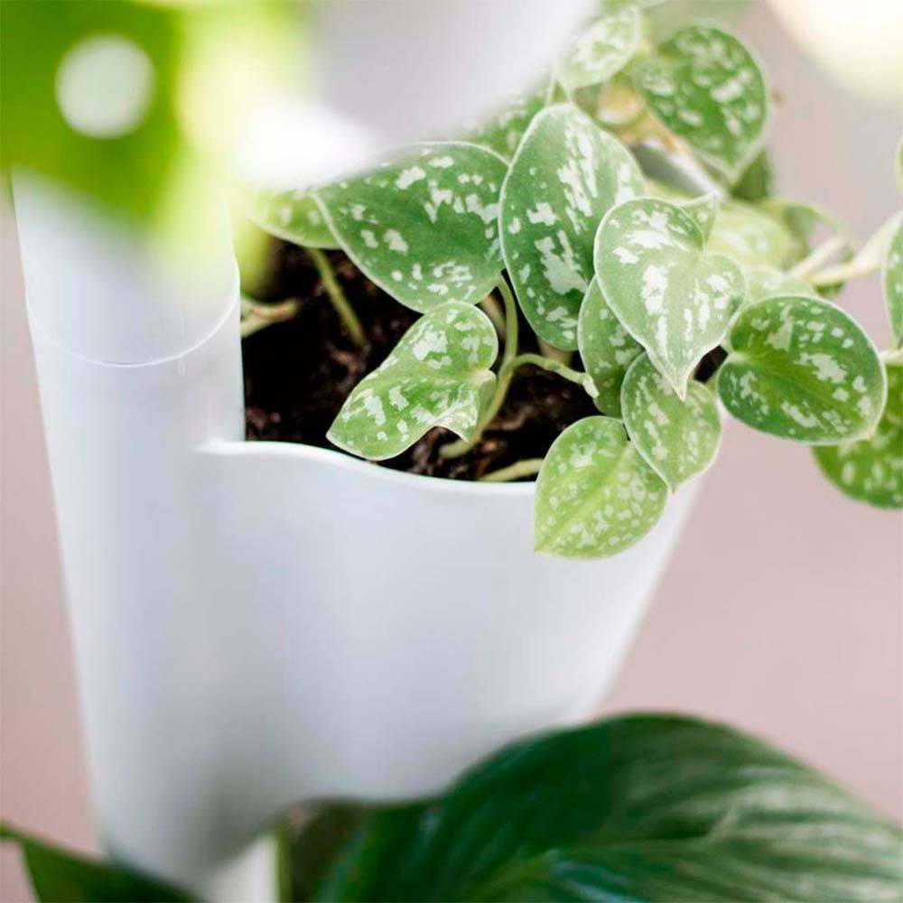 Jardinière verticale CitySens blanche avec 4 pots 
et arrosage automatique Wi-Fi - Image 4