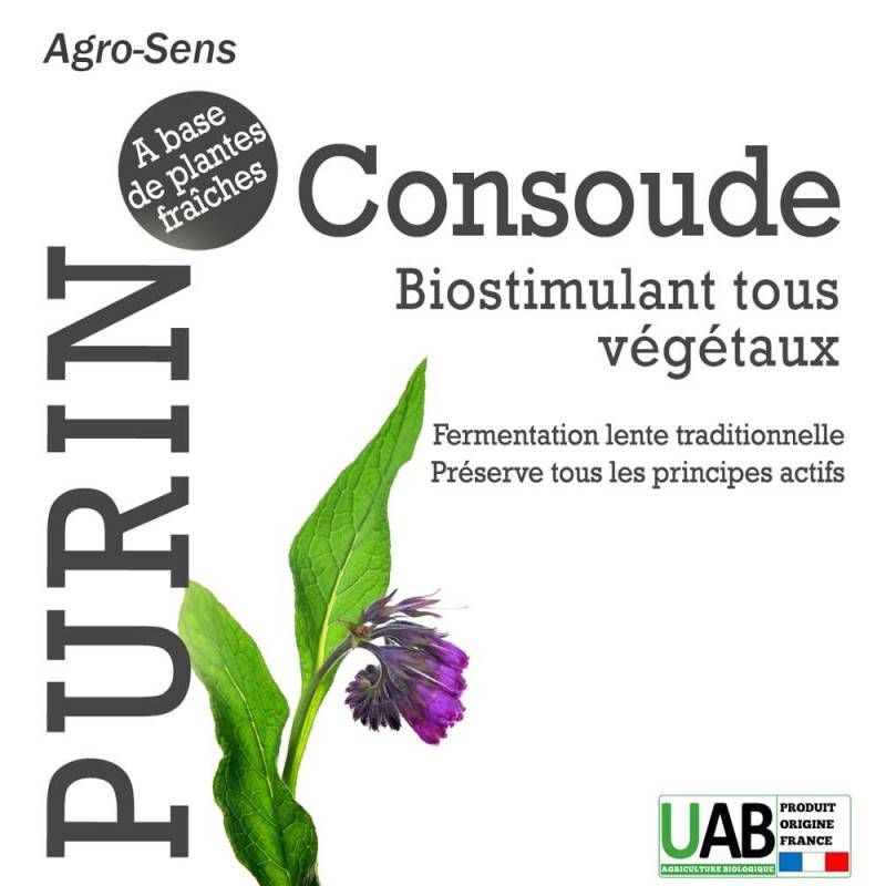 Purin de consoude - Concentré à diluer - 1 Litre - Image 2