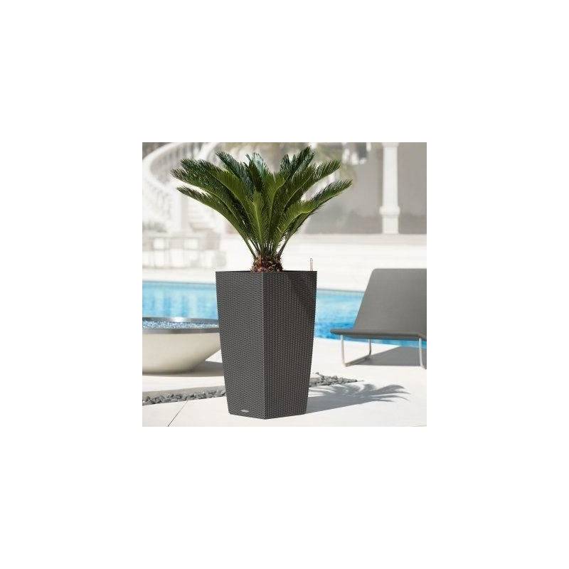 Lechuza - Pot De Fleur Lechuza Cubico Cottage 40 - Kit Complet, Moka - Image 2