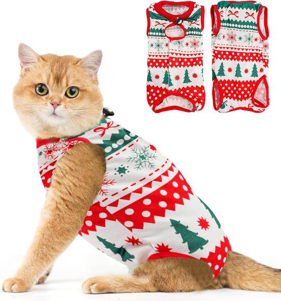 Combinaison de Récupération pour Chat Anti Léchage Peau -Noël L