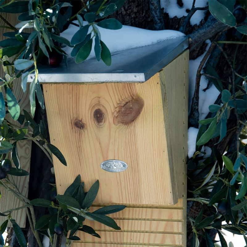 Esschert Design - Nichoir et abris en bois pour Chauves-Souris - Esschert Design - Image 3