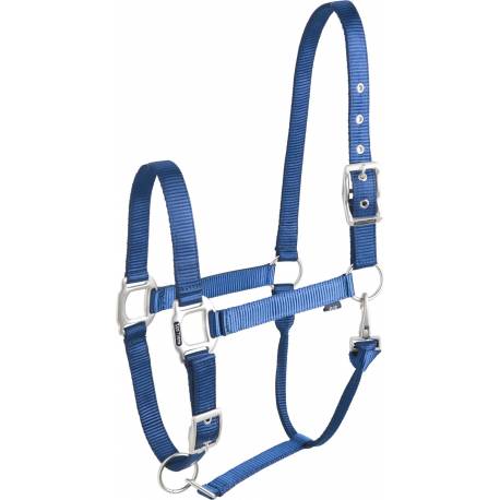 Licol 'éclat' bleu EQUITHÈME pour pur-sang