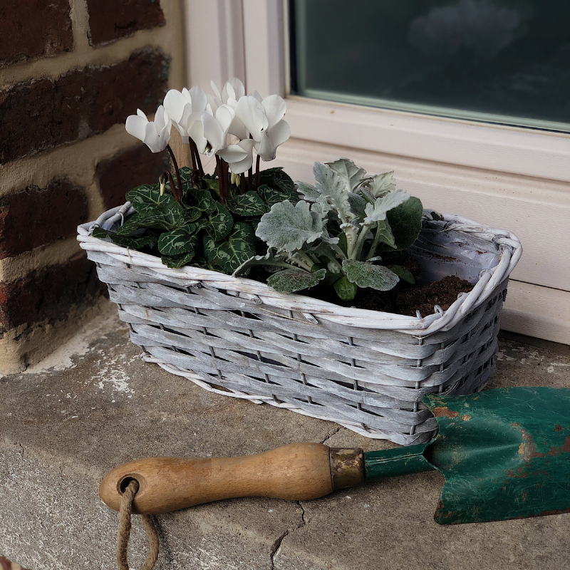Aubry Gaspard - Jardinière en osier 37 cm - Aubry Gaspard - Image 2