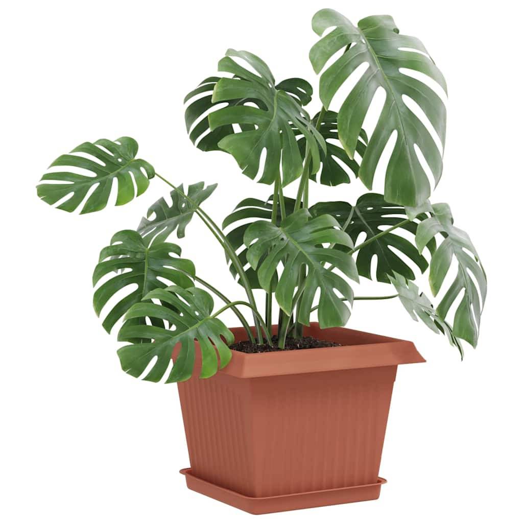 Vidaxl - Pots de plantes 24 pc Rouge brique Plastique vidaXL 3403306 - Image 4