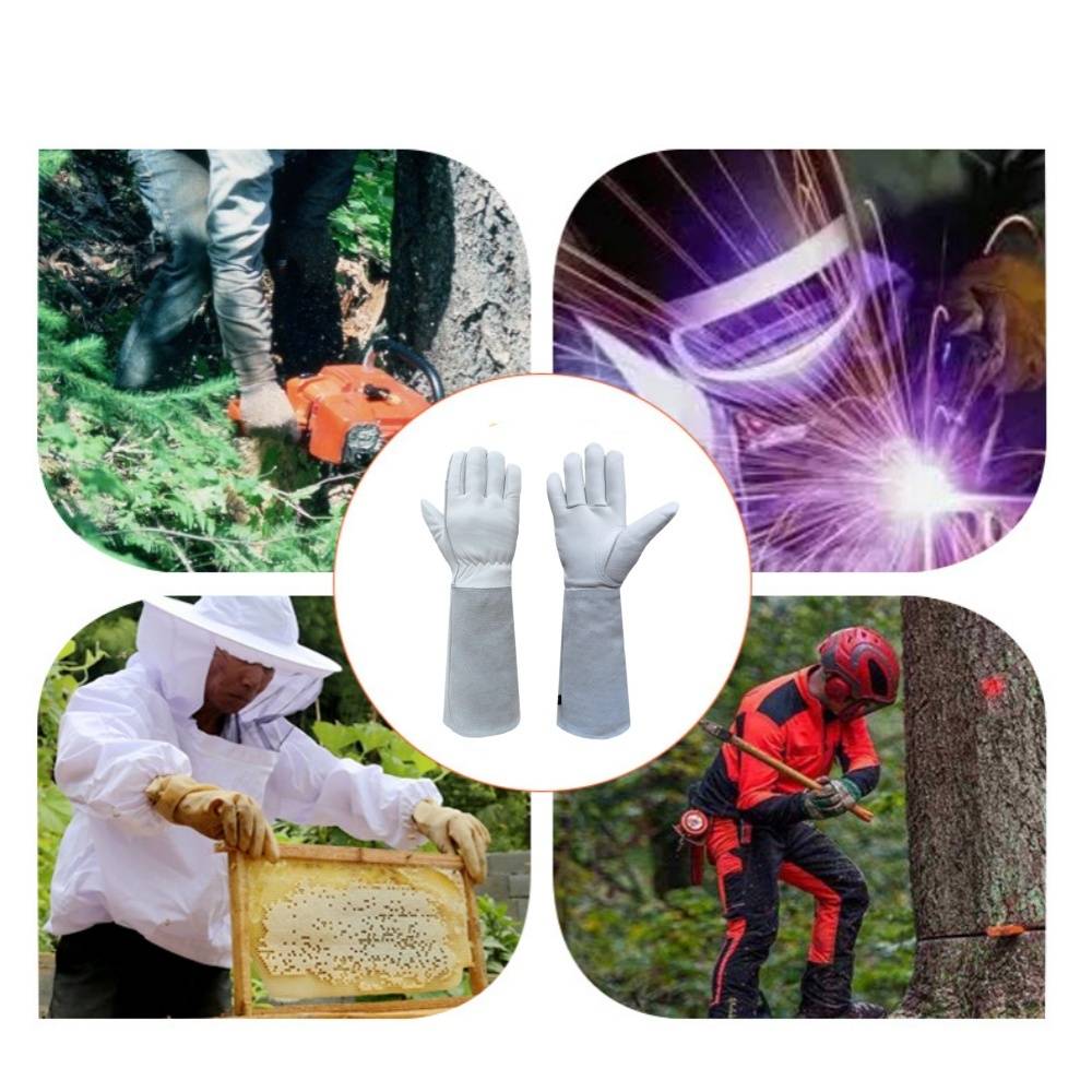 IntiMeg - Gants de Jardinage en Cuir de Vachette - IntiMeg - Image 2