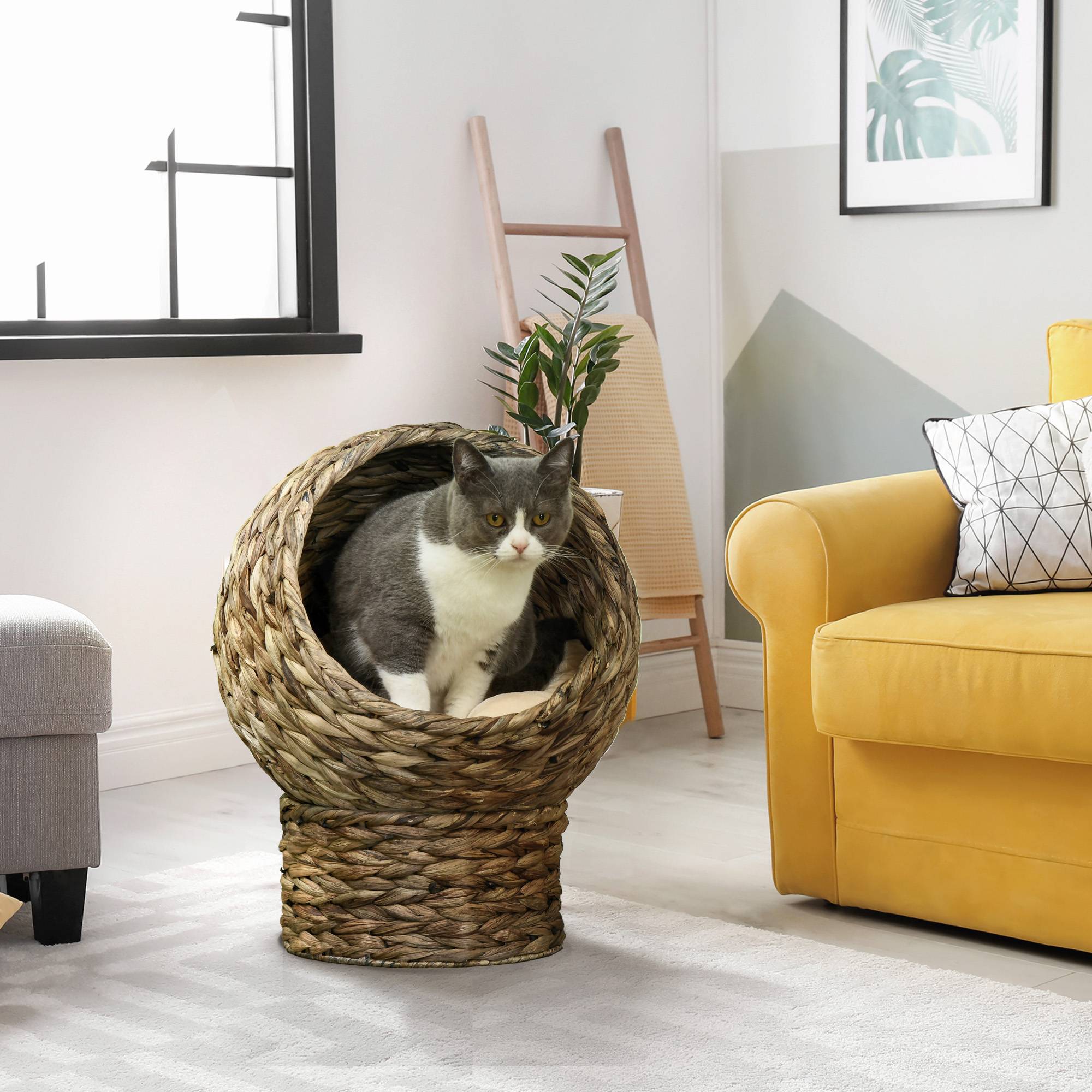 Sans Marque - Panier chat lit surélevé chat cosy niche grotte à chat grand confort dim. 40L x 37l x 51H cm coussin moelleux beige inclus - Image 4