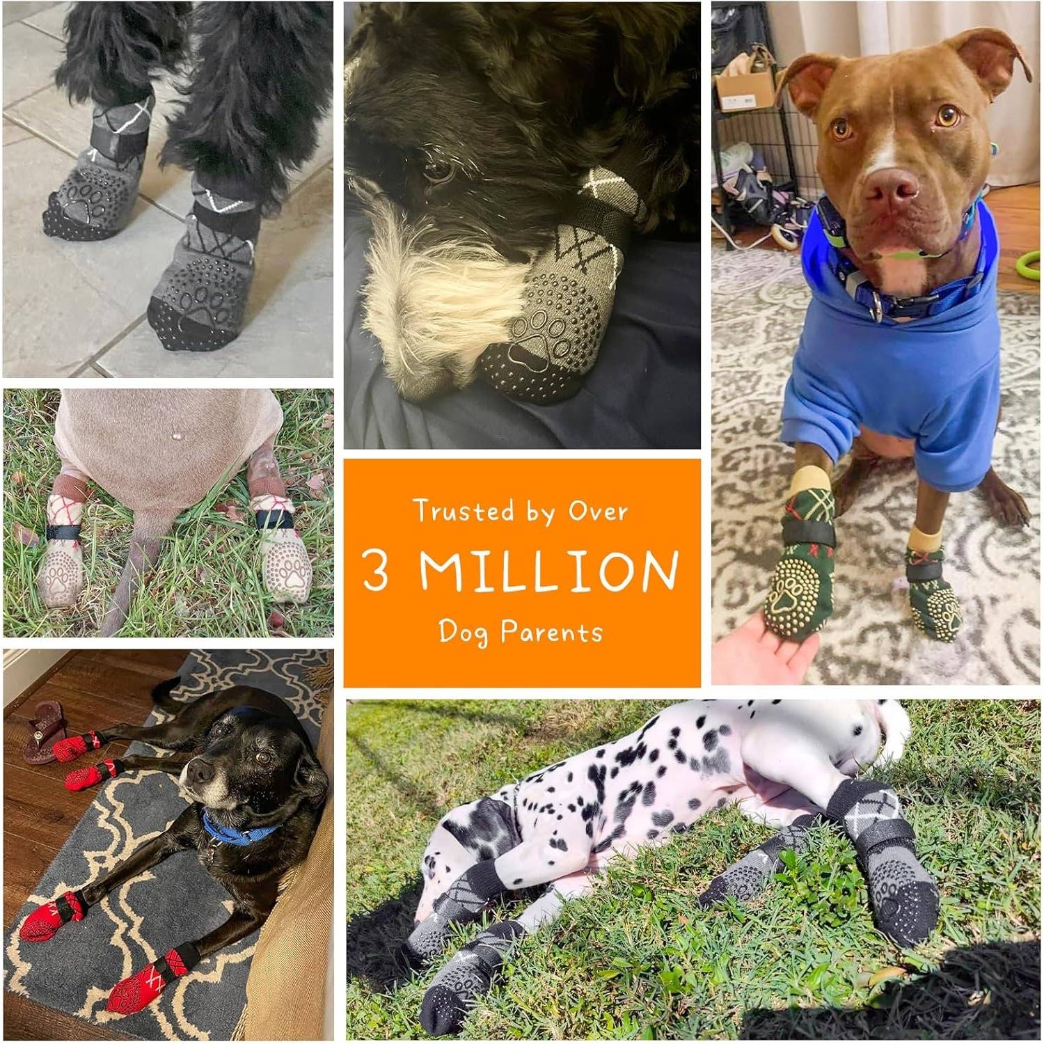 DtopbuyAge - Protègent Pattes Chien Sols Chauds/Froids L DtopbuyAge - Image 4