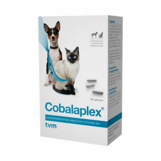 Cobalaplex TVM supplémentation vitamines B12 et B9 Boite 60 gélules