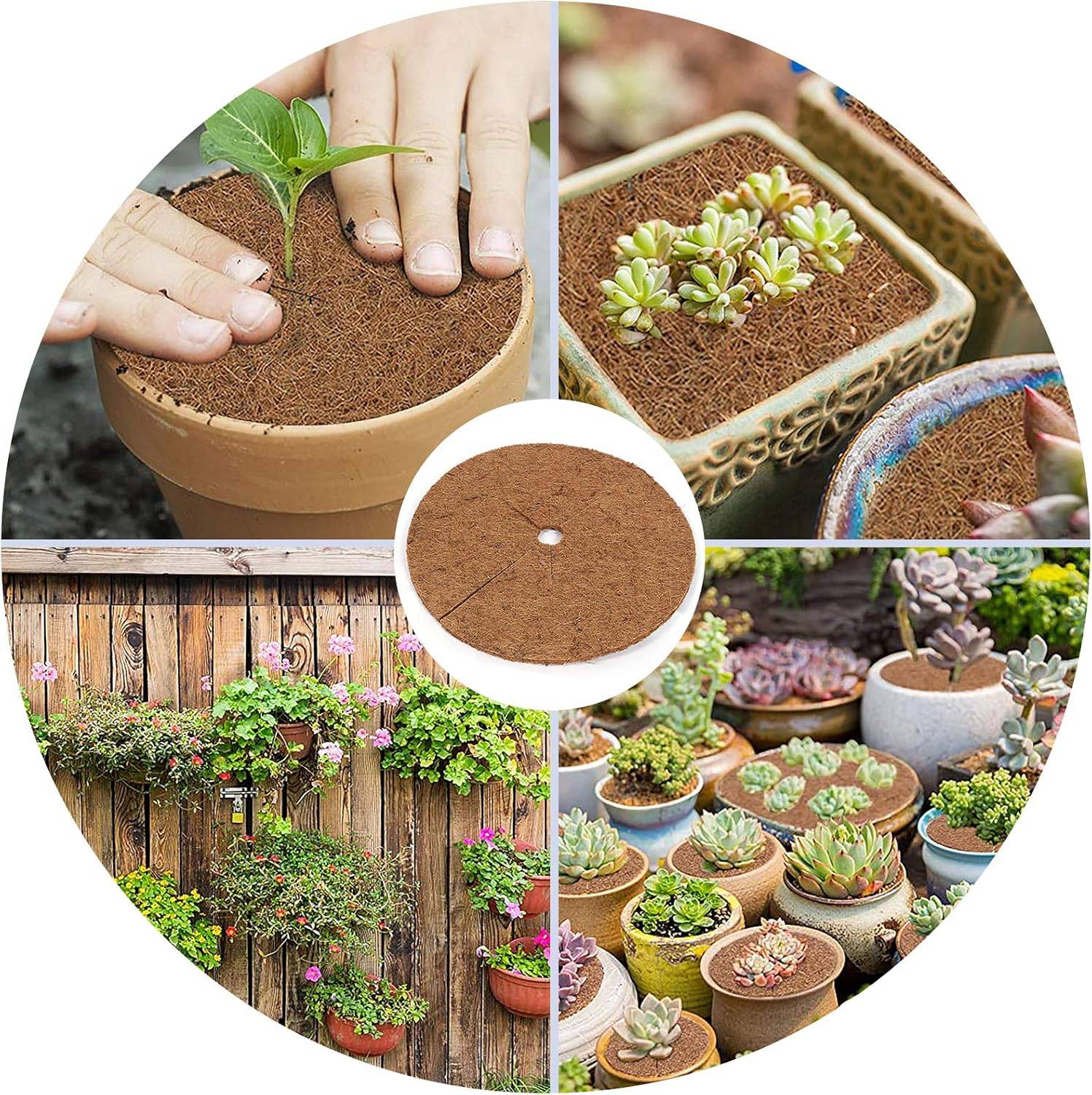 Lytech - Disque de paillage coco - 4 pièces 30cm, protection pour plantes - Lytech - Image 4