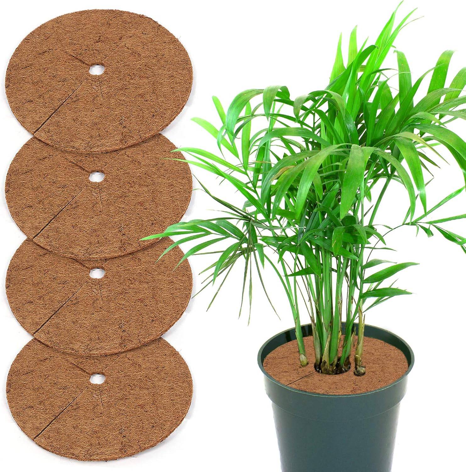 Lytech - Disque de paillage coco - 4 pièces 30cm, protection pour plantes - Lytech - Image 1