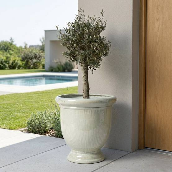 Lot olivier + pot TITAN 72x75cm perle, fait main en terre cuite émaillée - Image 2