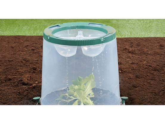 Garantia - Kit De 3 Cloches De Culture "sunny" -garantia - Image 4