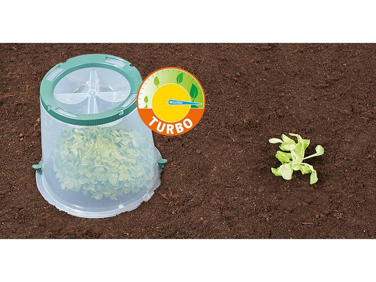 Garantia - Kit De 3 Cloches De Culture "sunny" -garantia - Image 3