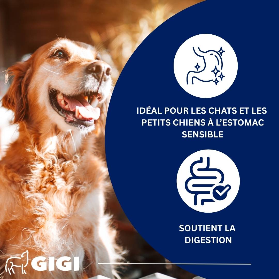 Confort Estomac & Intestin – aide efficacement en cas d’intolérances alimentaires 30 comprimés GIGI VET - Image 3