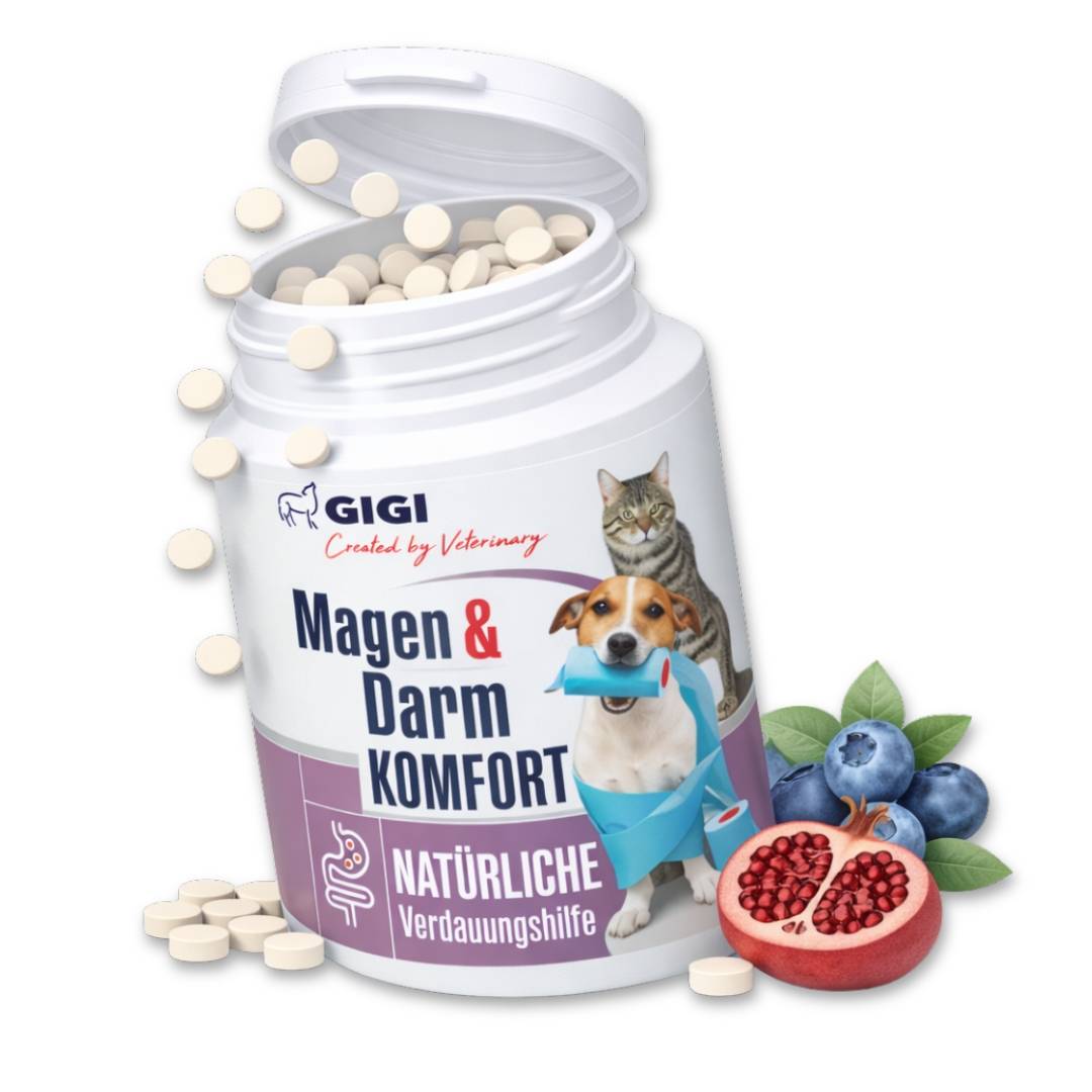 Confort Estomac & Intestin – aide efficacement en cas d’intolérances alimentaires 30 comprimés GIGI VET - Image 1