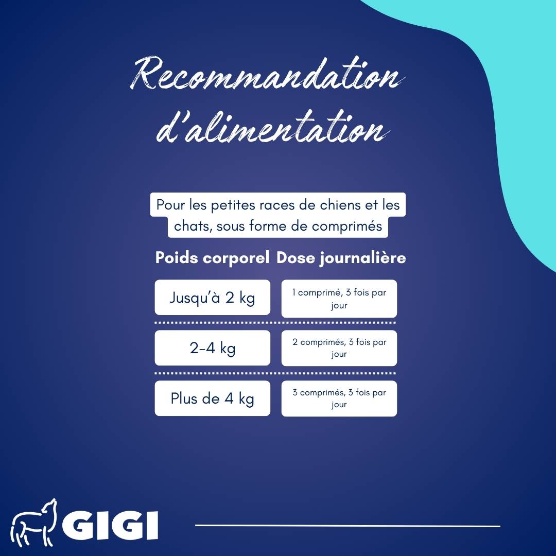 Confort Estomac & Intestin – aide efficacement en cas d’intolérances alimentaires 30 comprimés GIGI VET - Image 4
