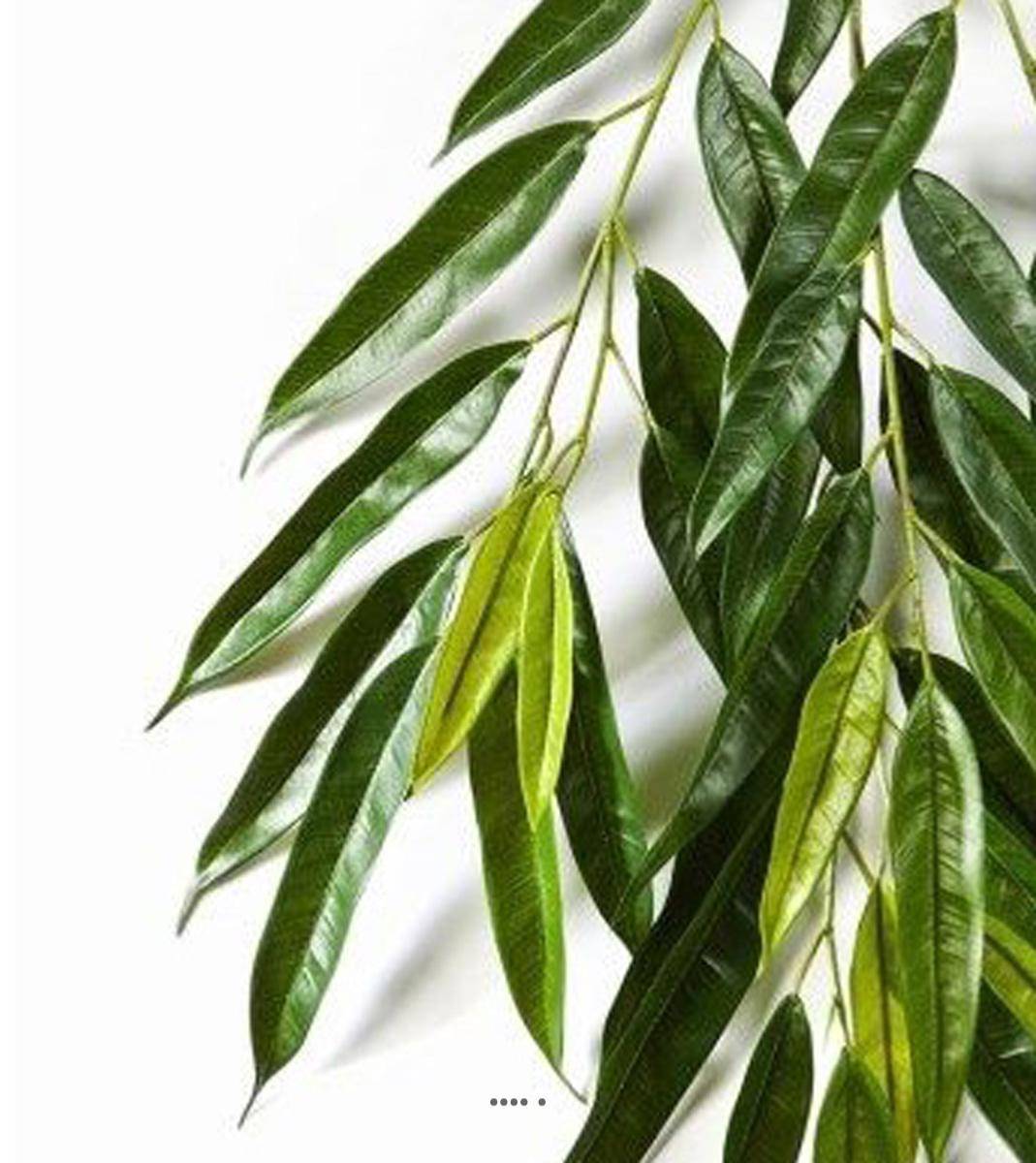 Branche de longifolia royal artificielle L 85 cm Vert - Image 3
