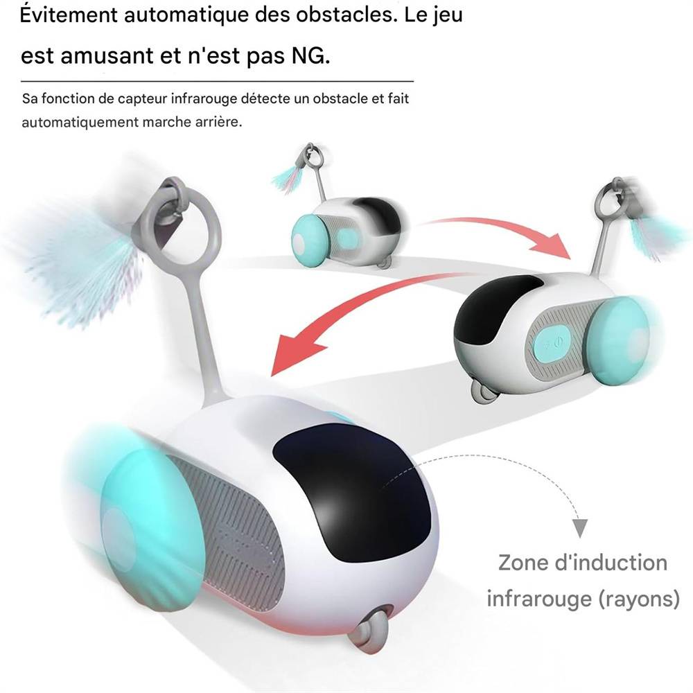 Jouet pour chat(Bleu) DtopbuyAge - Image 5