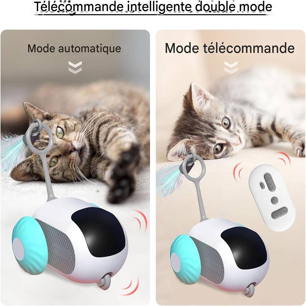Jouet pour chat(Bleu) DtopbuyAge - Image 4