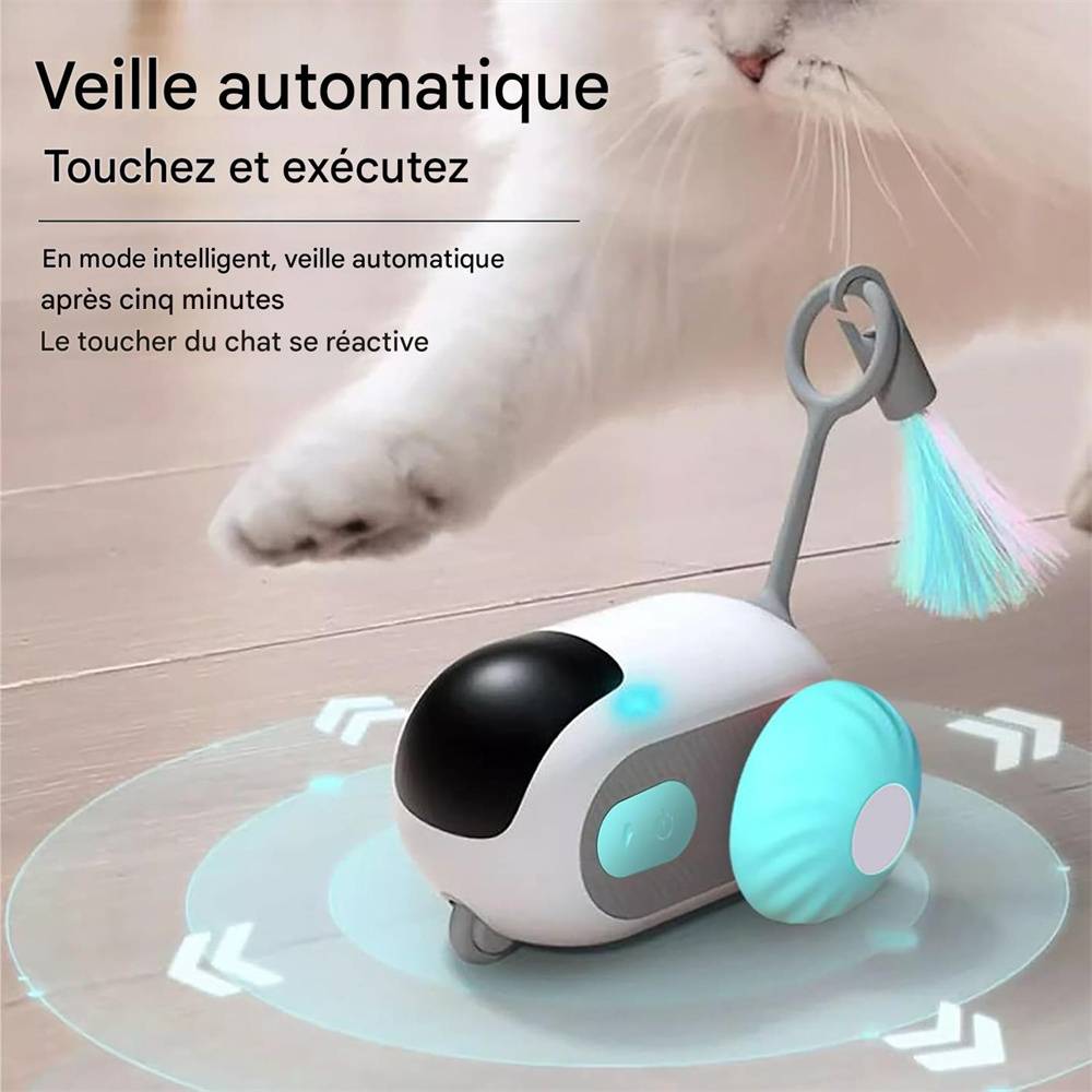 Jouet pour chat(Bleu) DtopbuyAge - Image 3