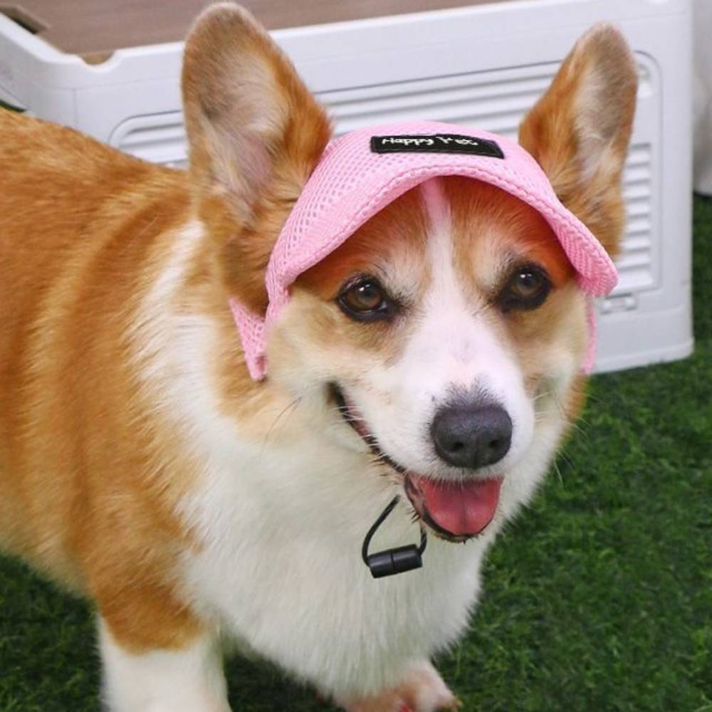 Chapeau de soleil rose pour chien s - IntiMeg - Image 2