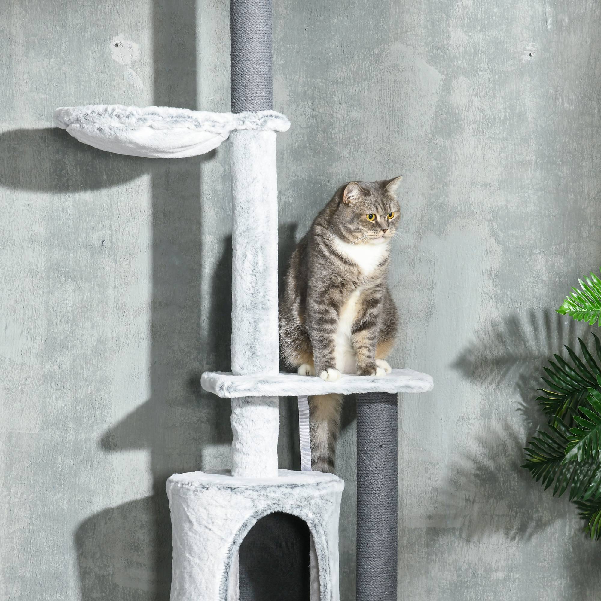 Sans Marque - Arbre à chat avec vérin, hamac, maison, plateformes, balle, 225-255cm, Gris - Image 10