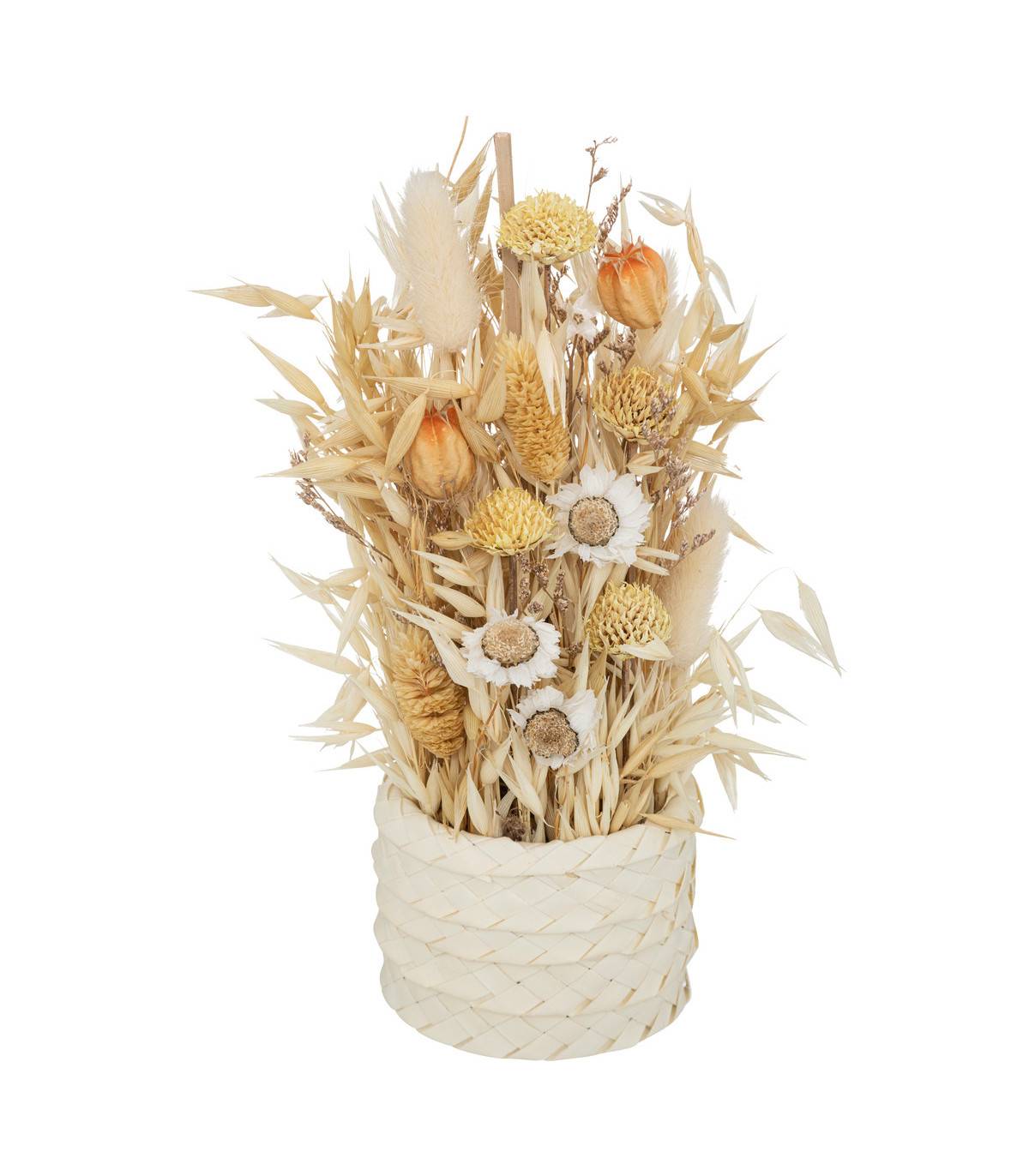 Atmosphera - Composition Fleurs Séchées en Pot D. 8,5 x H. 24 cm - Image 1