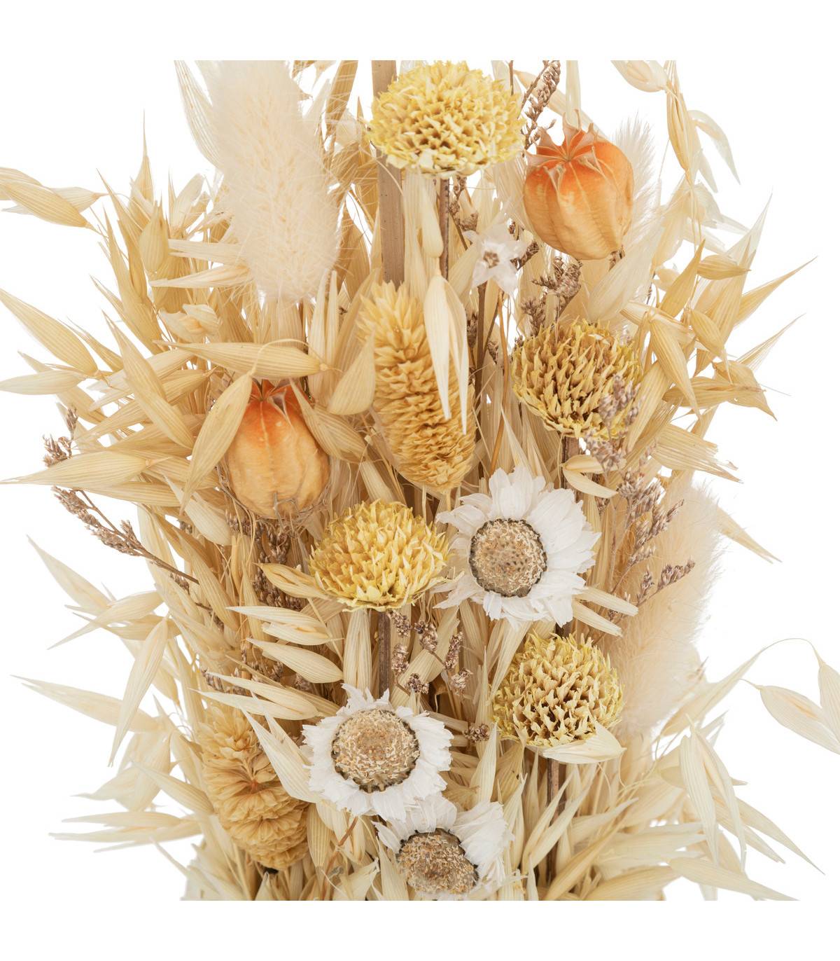 Atmosphera - Composition Fleurs Séchées en Pot D. 8,5 x H. 24 cm - Image 2
