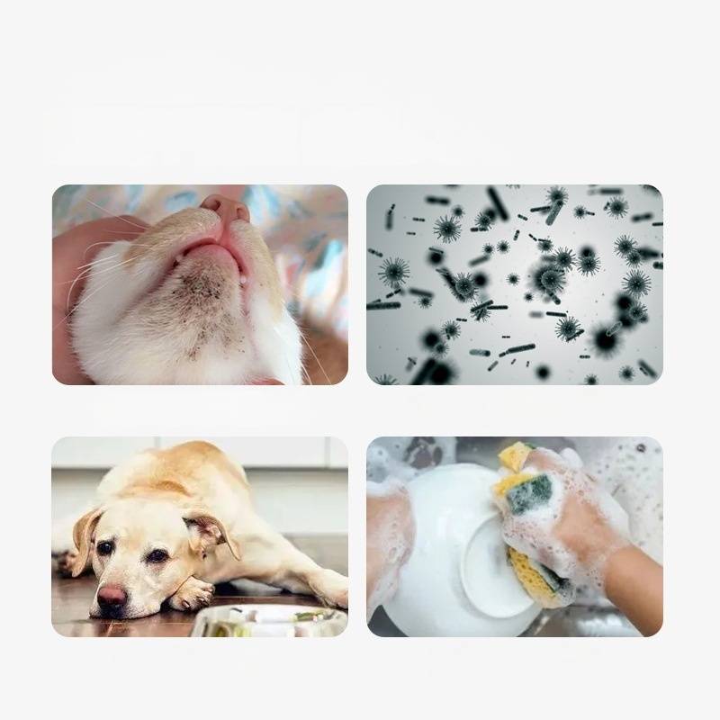 DtopbuyAge - Mousse de vaisselle pour animaux de compagnie DtopbuyAge - Image 5