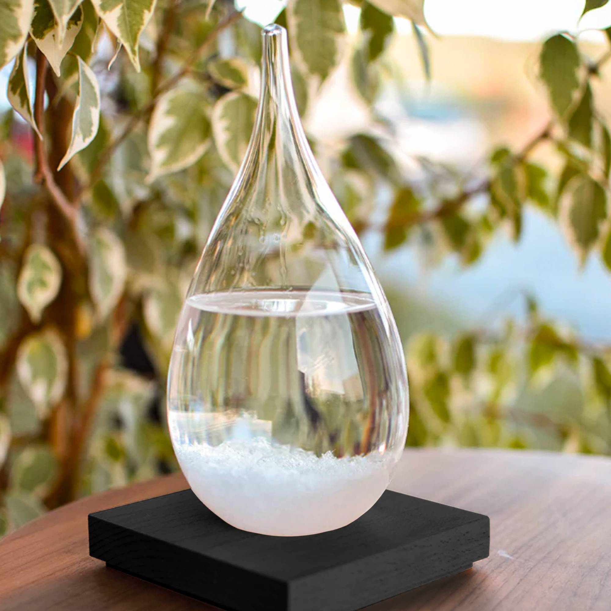 Fishtec - Baromètre à Cristaux Storm Glass - Bouteille de Prévisions Météo - Verre de tempête 20 cm - Socle en Bois - Image 7