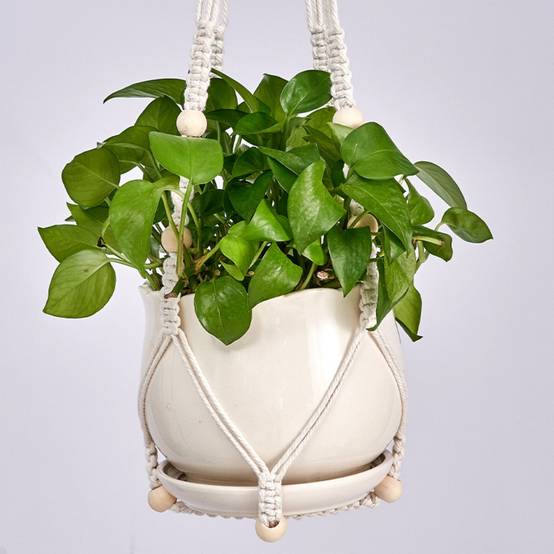 Support suspendu pour plantes 75cm - Corde coton résistante - Style bohème - Intérieur/extérieur - DtopbuyAge - Image 3