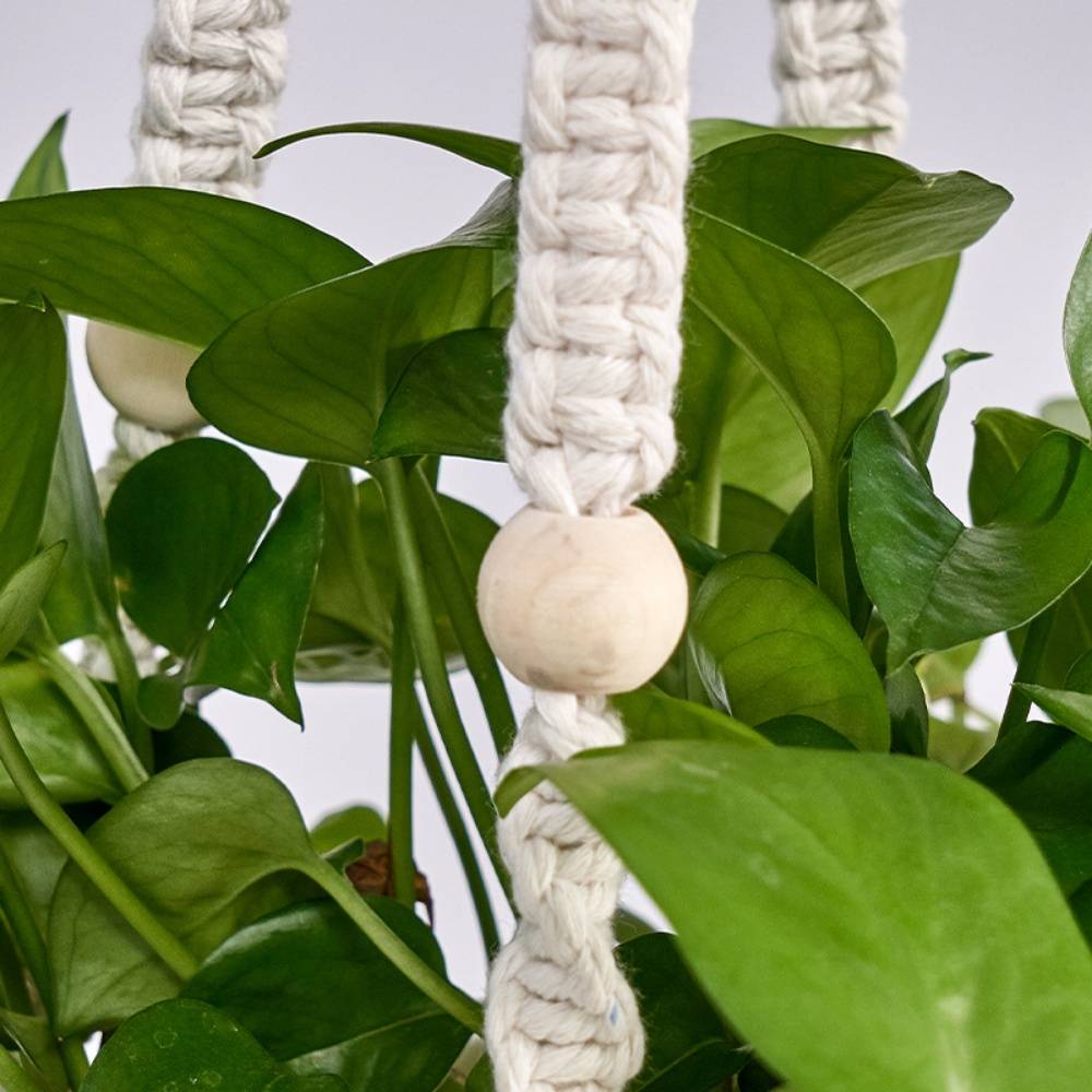Support suspendu pour plantes 75cm - Corde coton résistante - Style bohème - Intérieur/extérieur - DtopbuyAge - Image 4