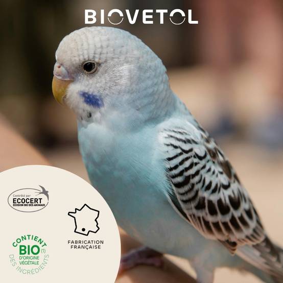 Biovetol - Spray assainissant cage Bio Oiseaux - 500ml - Image 3
