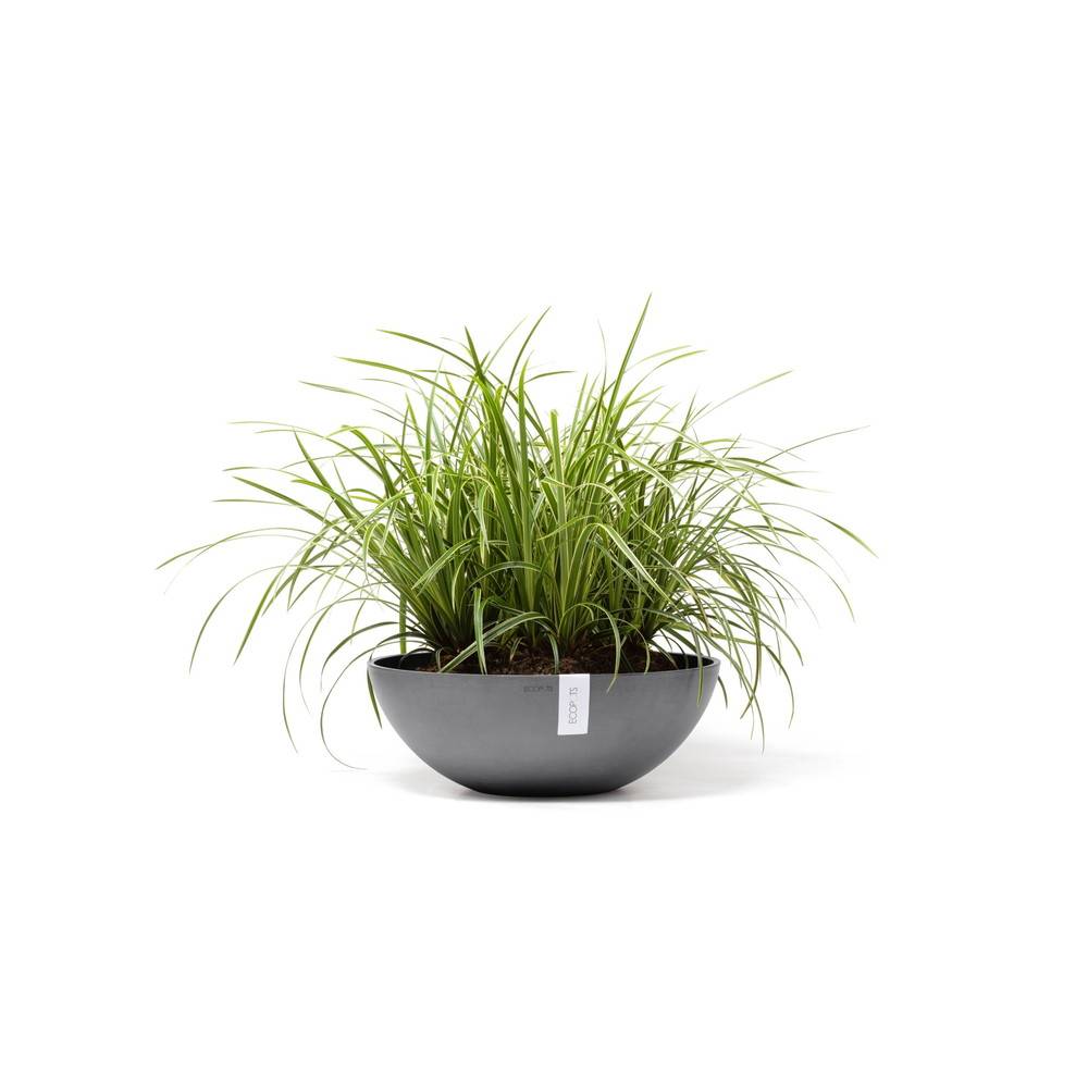 Ecopots - Pot Rond Vienna 50 Gris - Ø 50 x H. 18 cm - 22,3 L ECOPOTS - Image 1