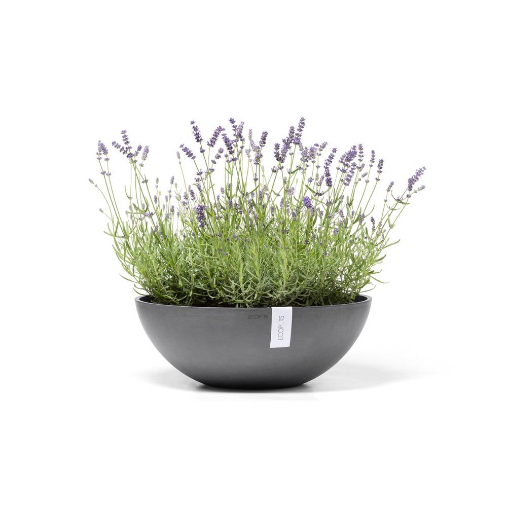 Ecopots - Pot Rond Vienna 50 Gris - Ø 50 x H. 18 cm - 22,3 L ECOPOTS - Image 2