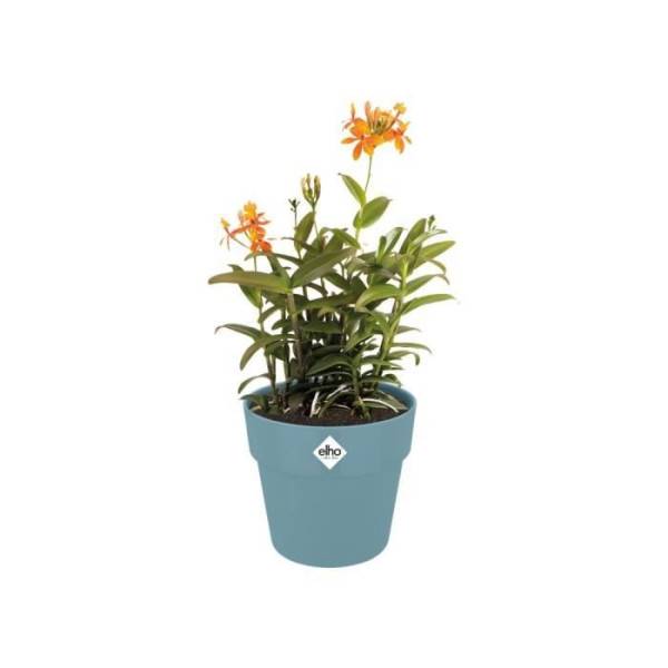 Elho - Elho B.for Original Pot De Fleurs Rond 25 - Bleu - ø 25 X H 23 Cm - Intérieur - 100% Recyclé - Image 4